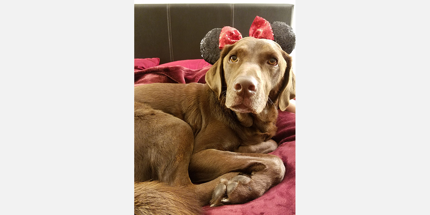 Simba